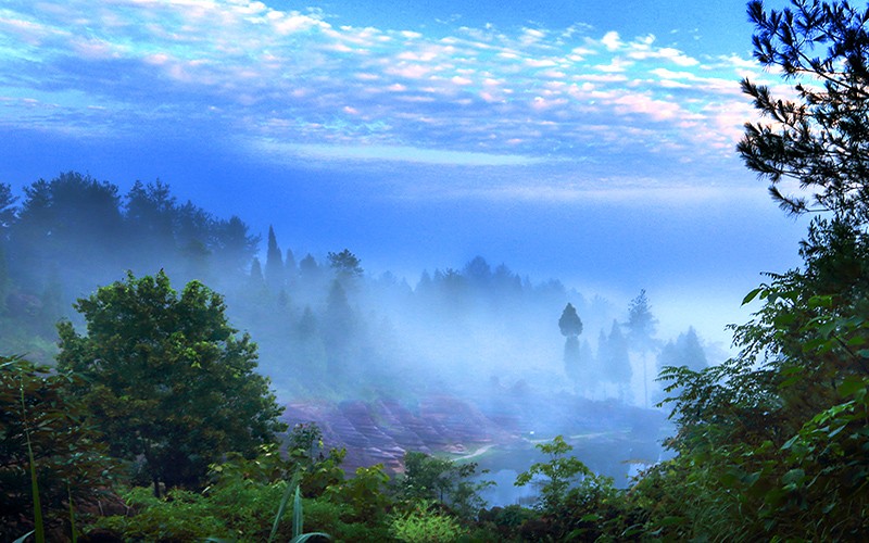 DPP_0012陈敏捷(15).jpg